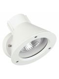 Wall Spotlight 2155