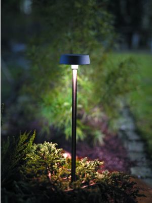 NEXOLIGHT Rana Wall Light