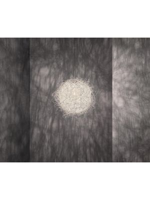 Arturo Alvarez Pili PL04 white