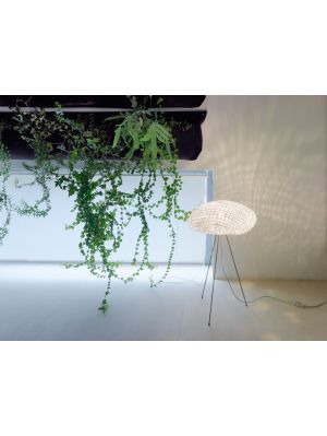 Arturo Alvarez Tati TA02 white