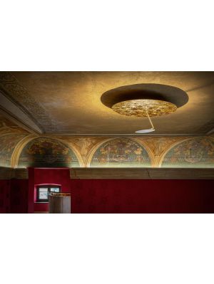 Catellani and Smith Lederam C150 Version 6