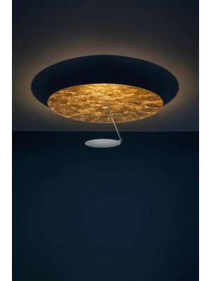 Catellani and Smith Lederam C180 Version 6