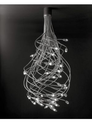 Catellani and Smith Turciu 36 nickel