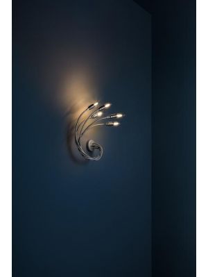 Catellani and Smith Turciu 5 nickel